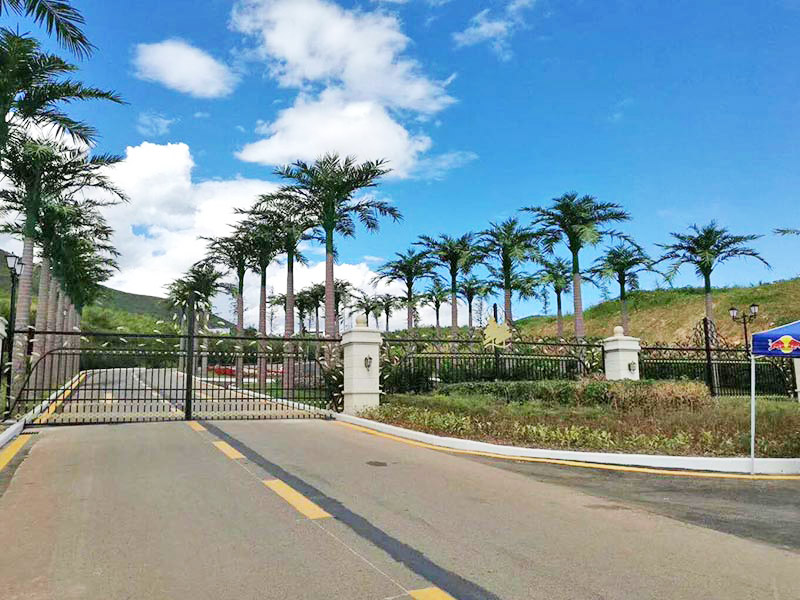 汕尾仿真树